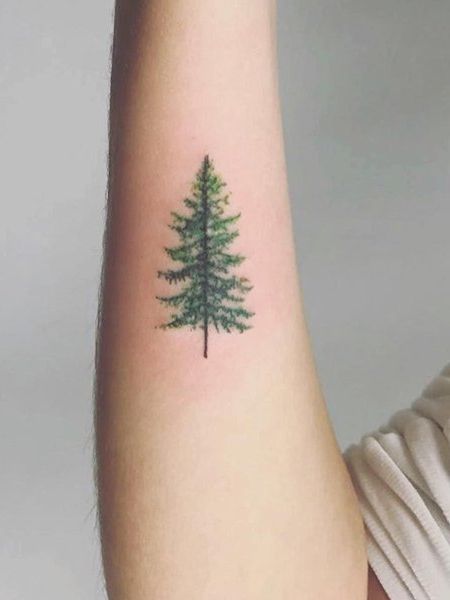25 лучших татуировок дерева для мужчин и что они означают