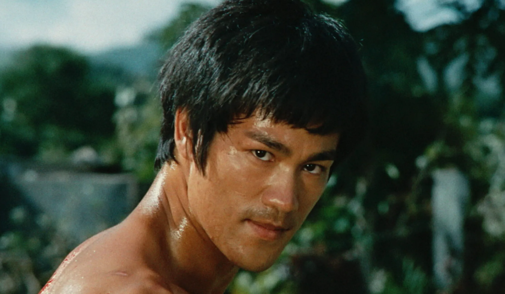 Брюс Ли — Легенда боевых искусств и кино 